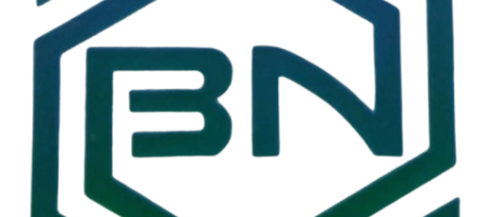 Broad_Vision_Logo1-removebg-preview